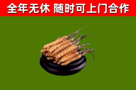 萝北烟酒回收冬虫夏草.jpg